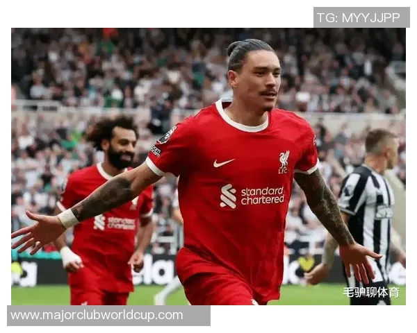 努涅斯在赛场上的崛起与挑战解析他如何成为足球界的新星