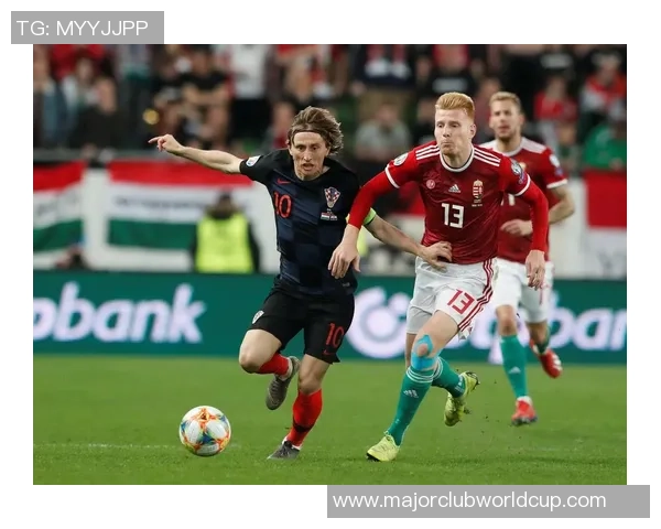 匈牙利与冰岛足球对决数据分析揭示战术优势与球员表现